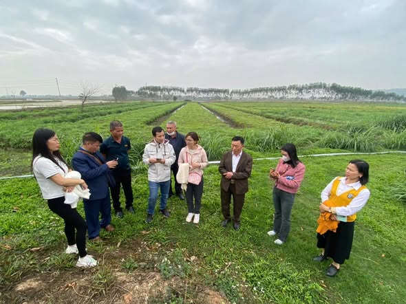 CỰU SINH HỖ TRỢ CỘNG ĐỒNG ĐỊA PHƯƠNG CẢI THIỆN THỰC HÀNH NÔNG NGHIỆP